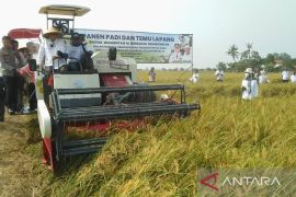 Wamentan dorong Karawang terus menjaga produksi dan produktivitas pertanian