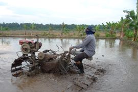 Dinas TPH Kalbar hadirkan Gerakan Serbu El Nino memitigasi kekeringan
