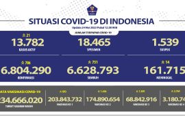 751 pasien COVID-19 di Indonesia sembuh pada Rabu