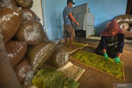 Penggunaan tembakau alternatif bantu kurangi risiko penyakit