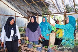 Stunting turun, Ketua TP PKK Tapin diusulkan dapat penghargaan Presiden