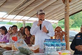 Tenaga Ahli Mentan: Minahasa potensial kembangkan komoditi Stevia
