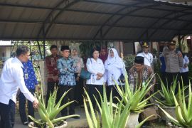 Pemkot Pontianak terus dorong produksi aloevera sebagai produk unggulan