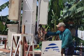 Sirene tsunami di Jayapura kembali bunyi setelah vakum setahun