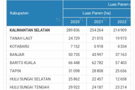 Kalsel siap menjadi penyangga pangan IKN