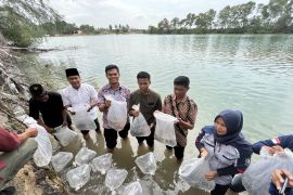 Ribuan ikan nemo dan kakap putih dilepas di Pantai Amera