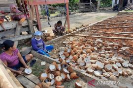 Disbun Sultra catat harga kopra di STA Kendari naik jadi Rp10.000/kg