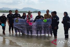 PT Timah - BPSPL Tanjungpinang restocking kepiting bakau