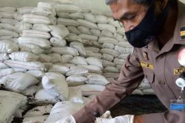 Karantina Pertanian Mamuju restui pengiriman palm karnel ke Gresik