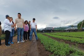 Kementan harap kerja sama investor asing bawa transfer pengetahuan