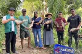 Baznas Kaltim bantu modal petani ikan Kukar  Rp400 juta