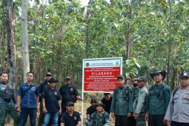 Perhutani Purwakarta tegaskan kawasan hutan di lahan sengketa