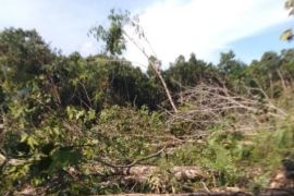 PT TWK ingin pertemuan dengan warga di Polres atau Dishut