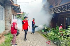 Kasus DBD meningkat, Dinkes Balangan imbau warga berperilaku hidup sehat