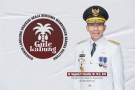Pj Gubernur Babel sinergikan Program Gule Kabung dengan KKN MAs