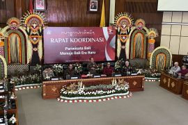 Gubernur Koster minta bupati data vila ilegal tak bayar pajak