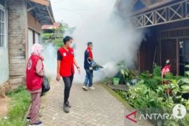 Imbau warga Balangan Kalsel berperilaku hidup sehat cegah DBD