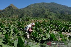 Ekosistem Pertembakauan Meminta RDPU RUU Omnibus Kesehatan