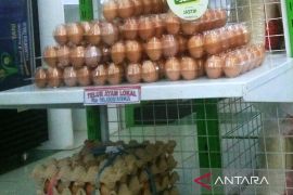 Harga telur ayam di Kaltim bergejolak ringan selama Mei