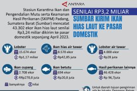 Senilai Rp3,2 miliar Sumbar kirim ikan hias laut ke pasar domestik