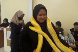 Pecinta reptilia Kota Bogor ajak masyarakat lebih dekat dengan reptil