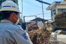 PG Assembagoes giling tebu capai 54.323 ton dalam dua pekan
