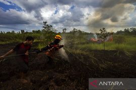 Kemenhub sepakati modifikasi cuaca atasi karhutla di Kalsel
