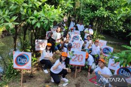 Perusahaan AMDK tanam ribuan bibit pohon mangrove di Surabaya