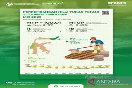 NTP Sultra pada Mei 2023 naik sebesar 0,16 persen