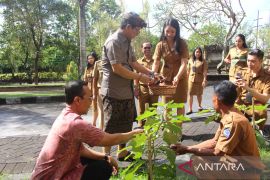 Pemkab Badung minta masyarakat tanam sayur di pekarangan