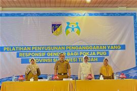 DP3A Provinsi Sulteng dorong perencanaan pembangunan responsif gender
