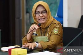 PUPR Ministry "gifts" Banjarmasin a suspension bridge