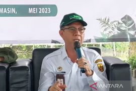 Banjarmasin targetkan 2.600 ekor sapi untuk Hari Raya Idul Adha