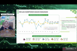 Bawang merah jadi penyumbang tertinggi inflasi Mei 2023