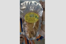 Pemkot Medan galakkan promosi "Celibu"