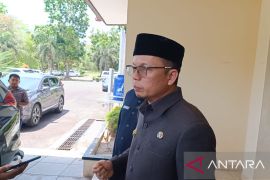 Bangka Tengah kembangkan kawasan wisata persawahan di Desa Namang