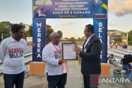 Luncurkan Penanaman Sayur Serentak Siswa SMK/SMA Terbanyak, Sultra Pecahkan Rekor MURI