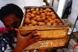 Harga pangan di Minggu fluktuatif, telur naik jadi Rp28.740 per kg