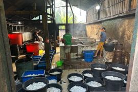 Program Dedieselisasi PLN 70% lebih efisien