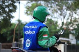 Peringati Hari Lingkungan Hidup 2023, lakukan 4 langkah ini untuk jaga bumi