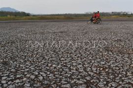 Sembilan kecamatan di Kabupaten Malang rawan kekeringan