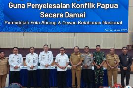 Wantannas dorong peran masyarakat untuk selesaian konflik  di Papua