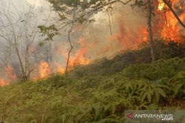 Waspada! Tiga daerah di Kepri ini rawan kebakaran lahan