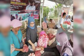 Dishanpang Kalteng sediakan 100 kilogram bawang subsidi tekan inflasi