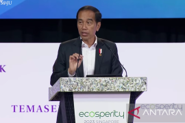 Presiden Jokowi janji akan fasilitasi investasi di IKN sebaik mungkin