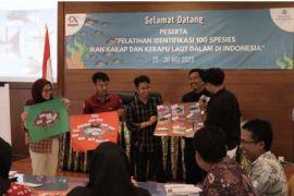 BKIPM Denpasar latih pengusaha mampu tahu ikan kakap-kerapu