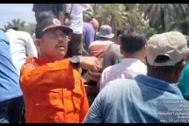 Kembali warga Labura diterkam buaya