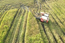 DPRD minta DKPP Seruyan maksimalkan lahan tidur