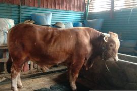 TPHK di Jakarta harus sediakan penampungan limbah