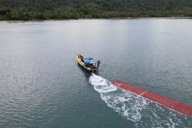 Pemerintah apresiasi capaian kinerja PLN